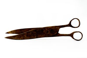 Garden Scissors